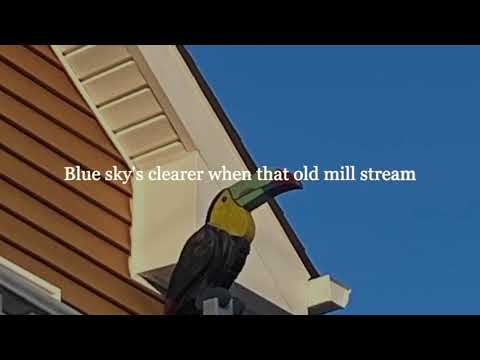 Autumn This Year - Steve Forbert