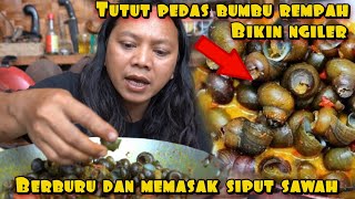 Download lagu SPICY CUTS WITH SPICES MAKE YOUR MOUTH CRY mp3 Download lagu SPICY CUTS WITH SPICES MAKE YOUR MOUTH CRY mp3