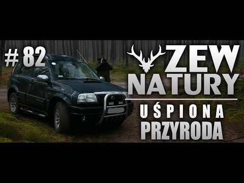 Call of Nature #82 - Sleeping Nature