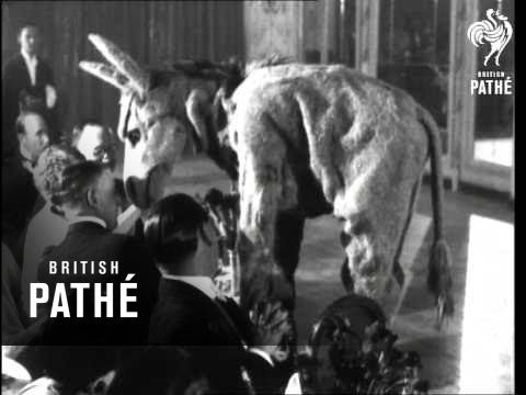 London's Famous Clubs And Cabarets No. 2 - "Playtime At The Piccadilly" (1926)