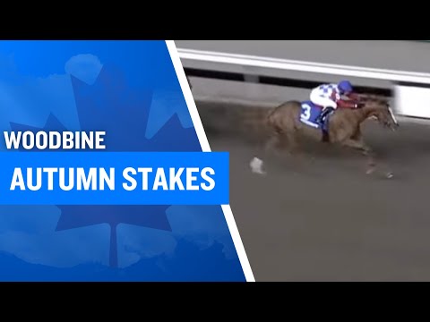2025 $150,000 Autumn Stakes (G3) at Woodbine