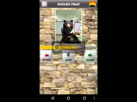 Animal Face Frames Video