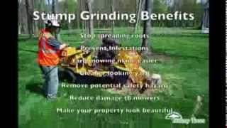 preview picture of video 'Stump grinding for Warwick NY by Tommy Trees 845 590 9255 Stump Removal and Tree Care'