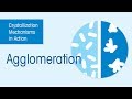 Crystallization Mechanisms Agglomeration Of Particles Crystallization