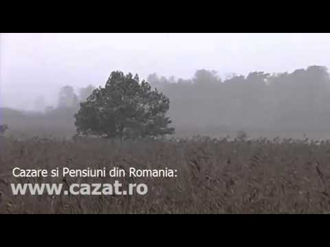 Cazare Valea Cosustei, Mehedinti - Cazat.ro