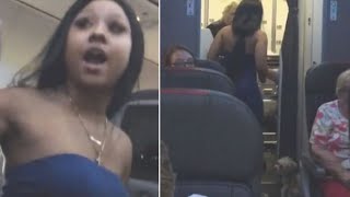 What Happened When This Dog Got Loose on a Plane