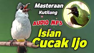 Download lagu Audio mp3 masteran kutilang isian cucak ijo mp3