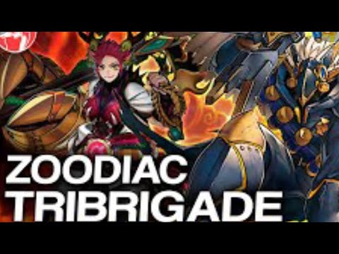 Top 8 Remote Duel YCS Qualifier Deck Profile: Zoodiac Tri-Brigade