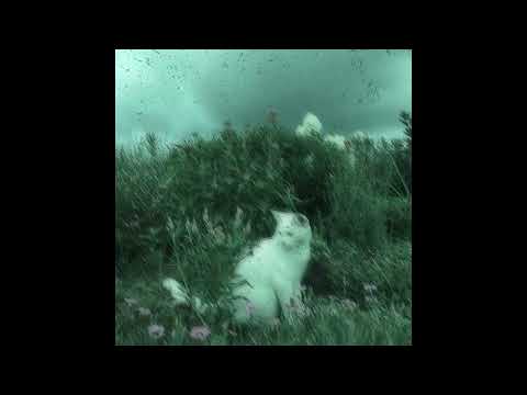 [FREE] Indie Rock Type Beat x Alternative, Pop Rock x Midwest Emo Type Beat