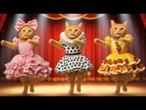 Cute cat crazy dance 💃😊 #cat #dancingcat #trending #viralvideo