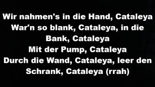 Samra - Cataleya lyrics