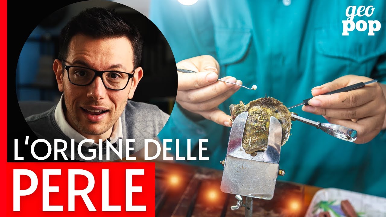 Ostriche, come creano le perle e perché?