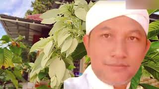 Download lagu kisah karomah mamak gelar cianjur yang mampu mengecilkan mobil mp3