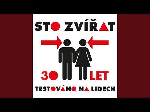 Já nic, já muzikant