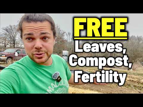 Grow Food From Scratch: Using What You Already Have (Q&A)