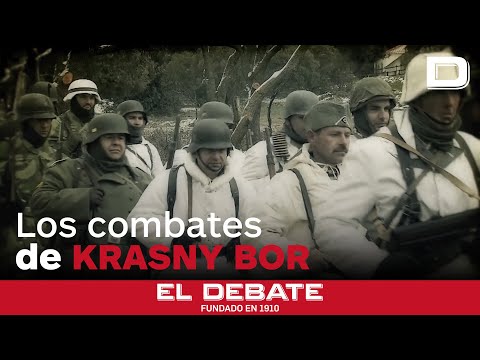 Documental 'Los combates de Krasny Bor', una de las victorias españolas olvidadas