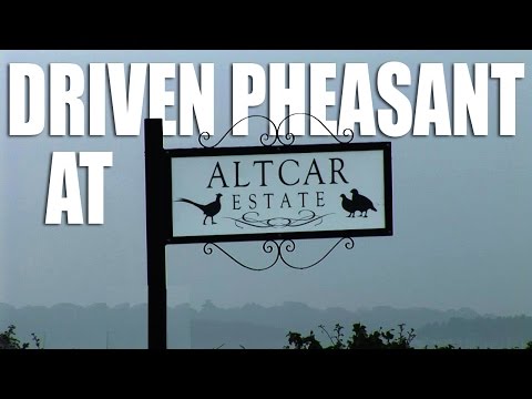 Driven Pheasant at Altcar Estate Driven Pheasant at Altcar Estate