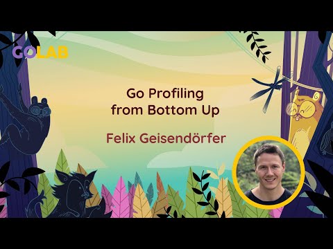 Go profiling from bottom up - Felix Geisendörfer