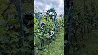Smart Vineyard Trimming Machine!