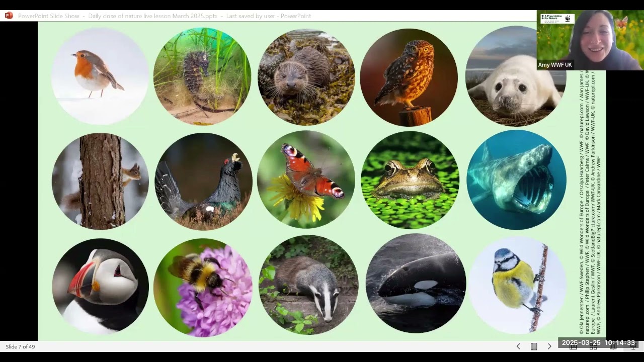 WWF Live lesson: Get your daily dose of nature and the Mini London Marathon