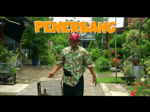 penerbang