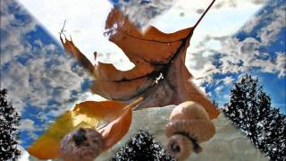 Fred Eaglesmith - &quot;Soda Machine&quot;