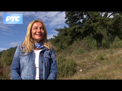 Trag u prostoru: Zlatibor o kome se retko priča