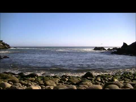 Anna Rynefors & Erik Ask-Upmark - Verbum Caro Factum Est