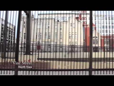 Study of Vine St. (Part 2/3)