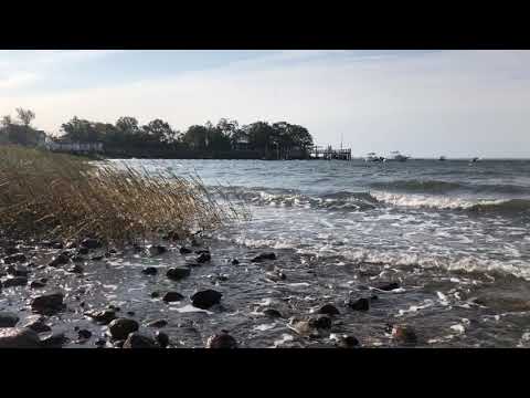 Darien Weed Beach ASAP3974