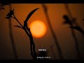 Good Morning Status Morning Whatsapp Status Morning Status 2022