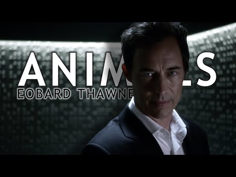 Eobard Thawne • Animals