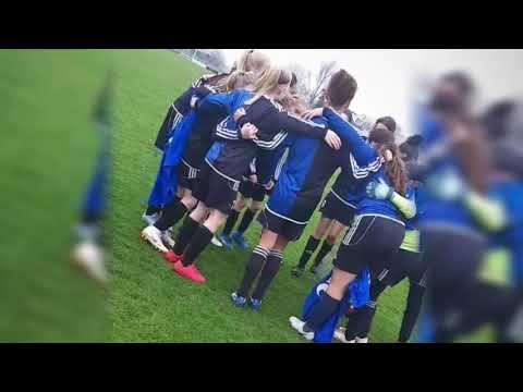 SteDoCo MO13-1 * Pelikaan MO13-1