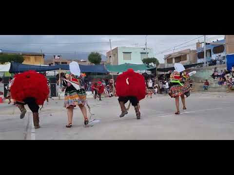 Danza Soltera Suwa - Roger Chino