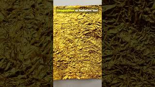 Download lagu Gold Gilding 101 mp3 Download lagu Gold Gilding 101 mp3