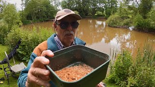 I Made my own MAGGOTS and Caught Fish with them!