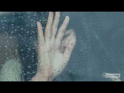 Sonia P - How much you love me?