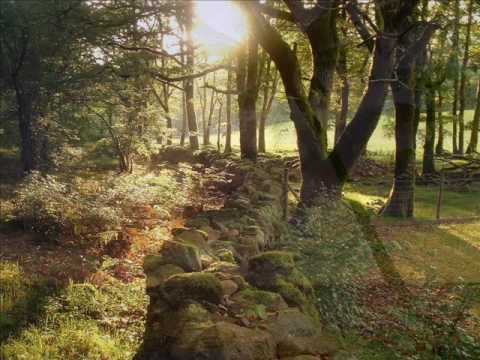 Mietek Szcześniak - każdy wschód słońca Ciebie zapowiada (wschody słońca)