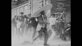 La moda vuole l'ala larga