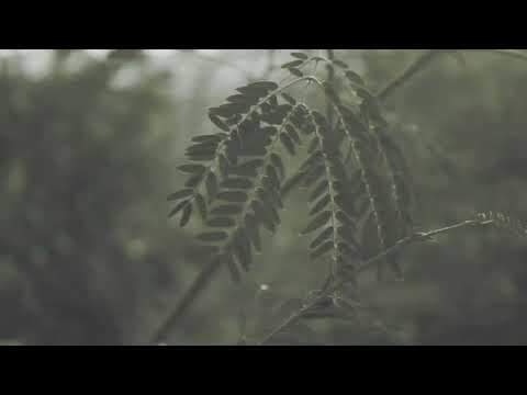 Aytac Turkut - VHS Memory (Visualizer)