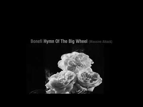 Bonefi