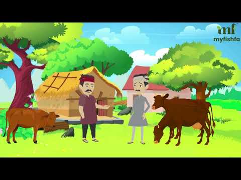 Pet Essentials & Milkyway Video