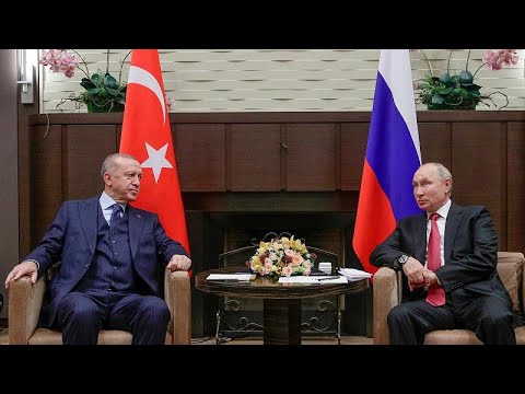 بوتين يستقبل إردوغان في سوتشي لبحث الوضع في سوريا وليبيا وتكثيف التعاون في مجال الغاز…