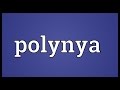 Polynya Meaning