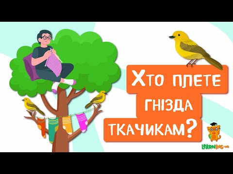 🍀 Дива природи. Явища навколо нас. Птахи родини Ткачикових 🌏