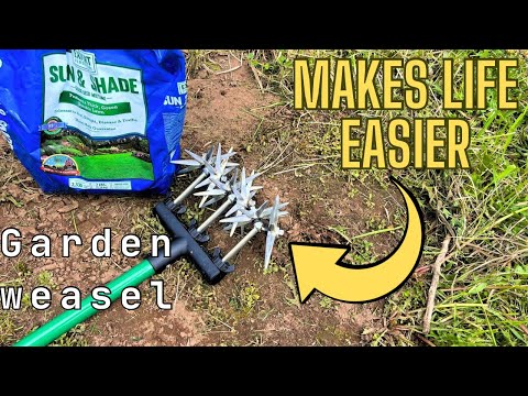 How To Easily Fix Bare Spots In Your Lawn With A Garden Weasel