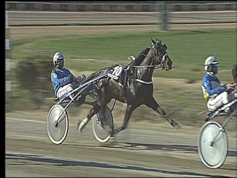 Trotto 03/03/2017 - 2ª corsa