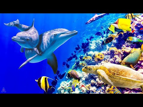 Relaxing Music For Calm The Mind, Overcome Overthinking • Relaxing Sleep Music, Soul and Body