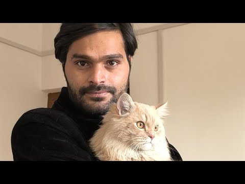 MUNEEB The Explorer #cats #cat