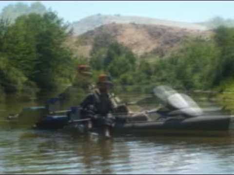 curious george the cat  does hobie cat kayak